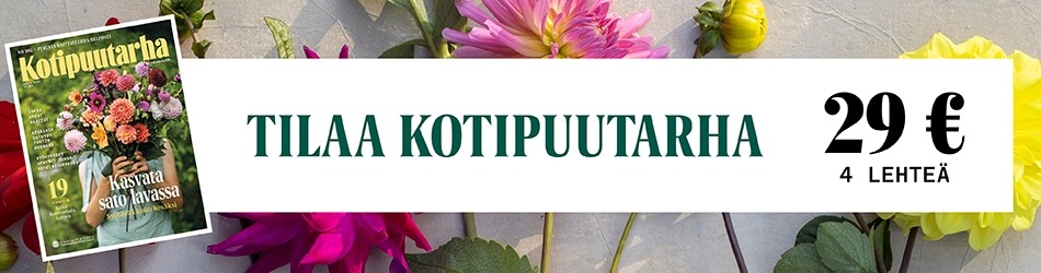 Tilaa kotipuutarha